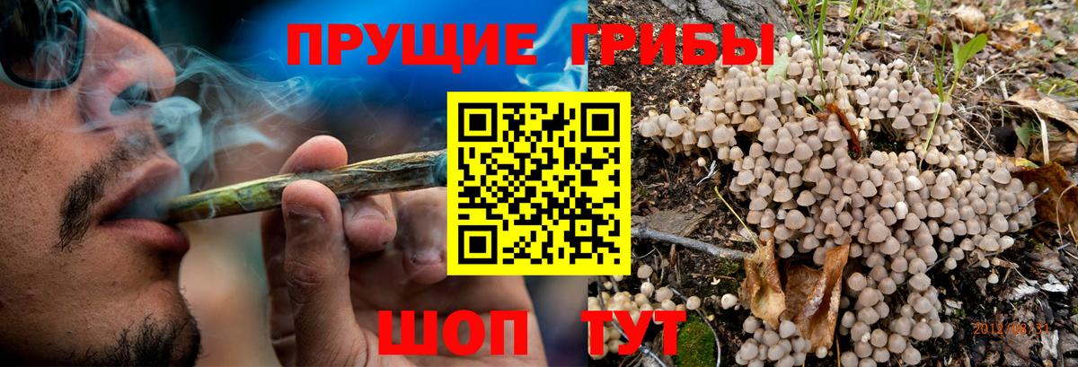 Ленинск-Кузнецкий  Псилоцибиновые грибы ЛСД  Галлюциногенные грибы ЛСД  Вход с VPN 